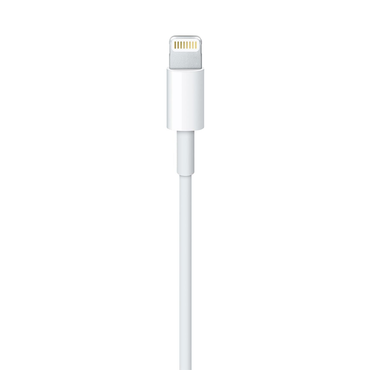 Cable Apple Lightning A USB Cable 1 Metro