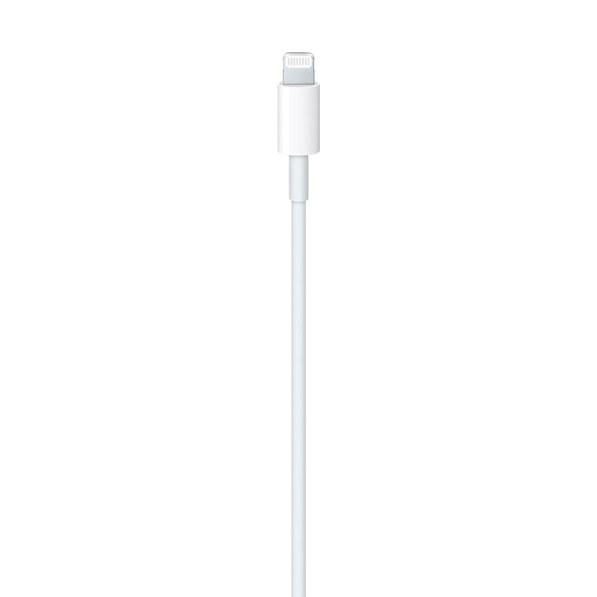 Cable APPLE de USB-C Lightning 1 Metro
