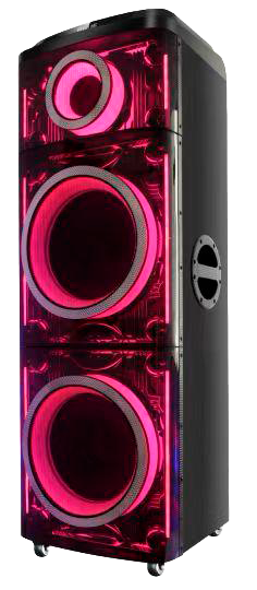 Parlante FT Paris PTE212J Luz Led Negro